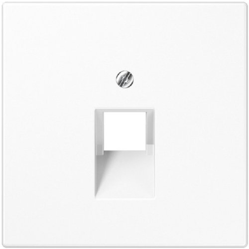 Лицевая панель Jung LS990 для 1-м. розетки RJ11/RJ45 белый фото Лицевая панель Jung LS990 для 1-м. розетки RJ11/RJ45 белый картинка